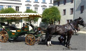 Pfedekutsche